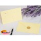 Ivory Blank Cards and Envelopes (Pack of 10) - C5 Cards, Perfect for Card Making, Invitations, and DIY Craft Projects
